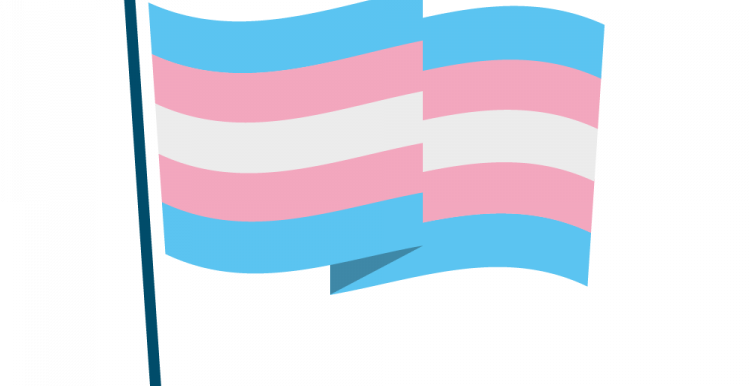 Infographic of trans flag