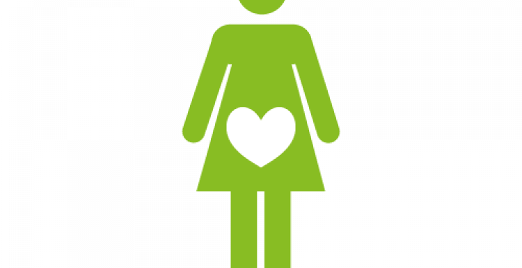Infographic of female figure with a heart where her stomach is indication pregnancy or fertility 