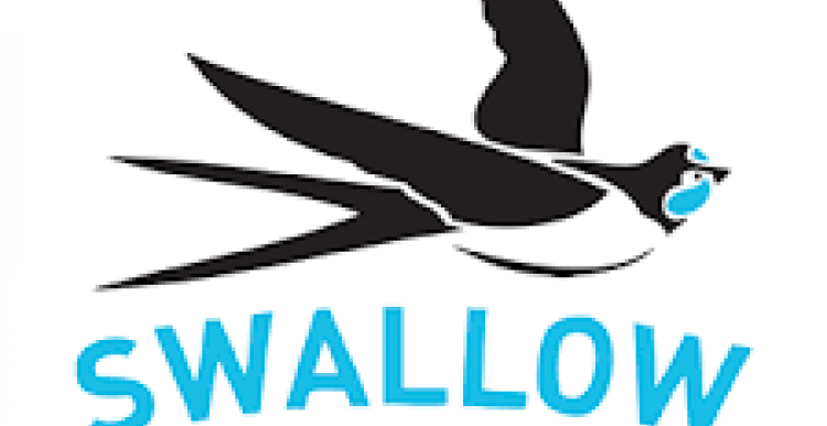 Swallow Charity BANES logo