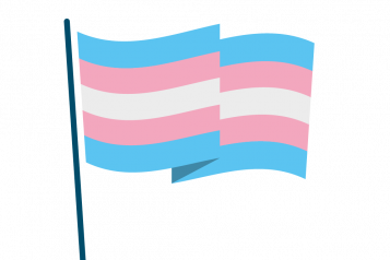 Infographic of trans flag