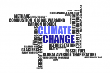 word cloud of different words linked to climate change