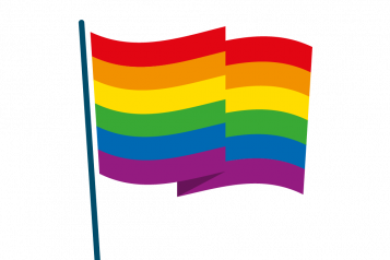 Infographic of LGBTQ flag